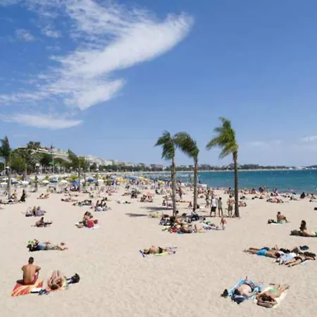 Amiraute Cannes
